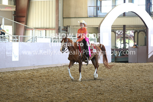 R317_RanchHorse_4397