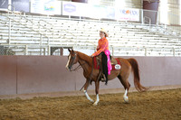 Ranch Horse Pleasure