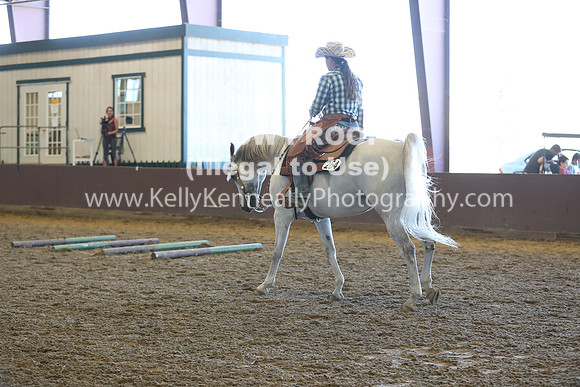 R317_RanchHorse_4408