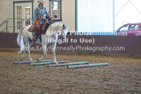 R317_RanchHorse_4410
