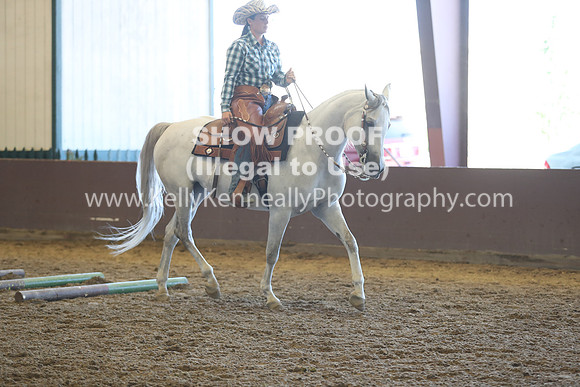 R317_RanchHorse_4411