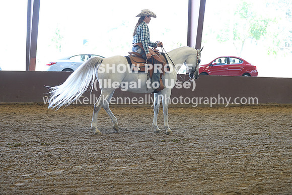 R317_RanchHorse_4412