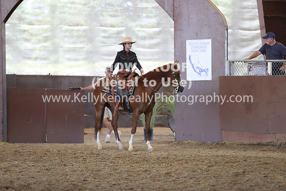 R317_RanchHorse_4413