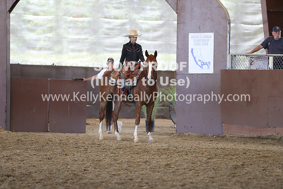 R317_RanchHorse_4414
