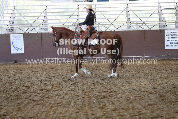 R317_RanchHorse_4415