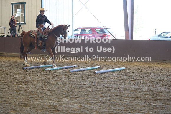 R317_RanchHorse_4416