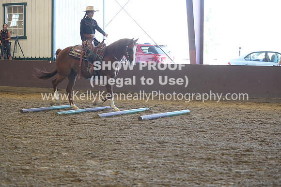 R317_RanchHorse_4417