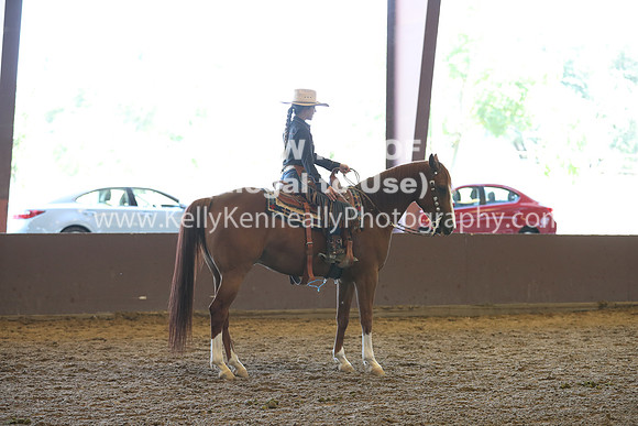 R317_RanchHorse_4418