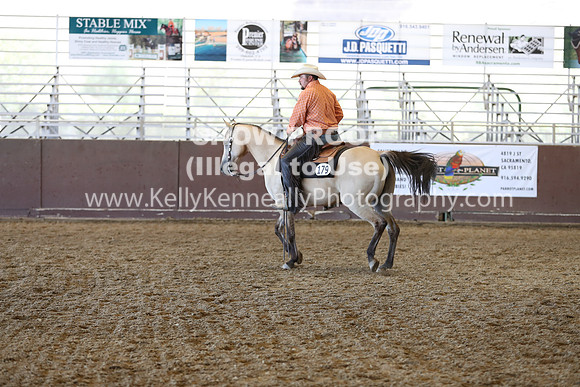 R317_RanchHorse_4421