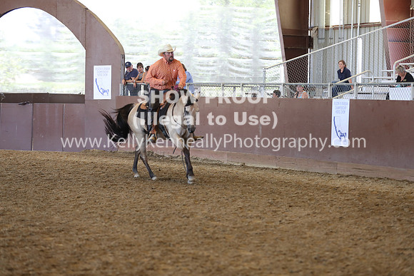 R317_RanchHorse_4423