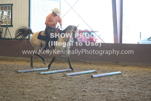 R317_RanchHorse_4424
