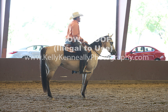 R317_RanchHorse_4425