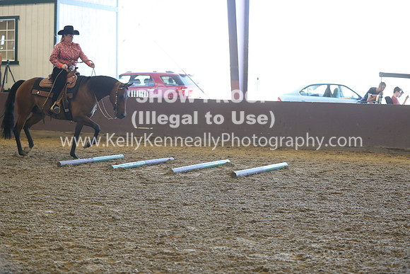 R317_RanchHorse_4431
