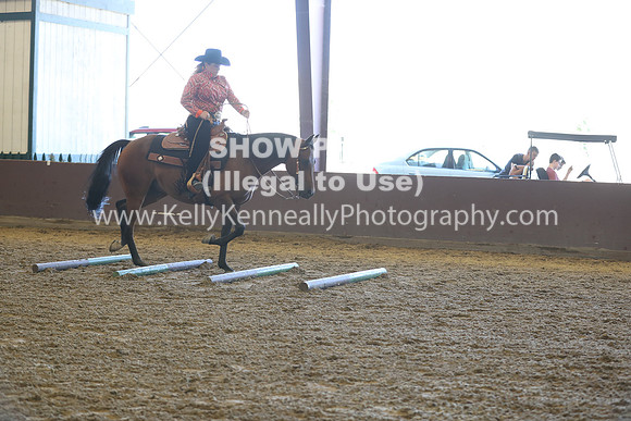 R317_RanchHorse_4432