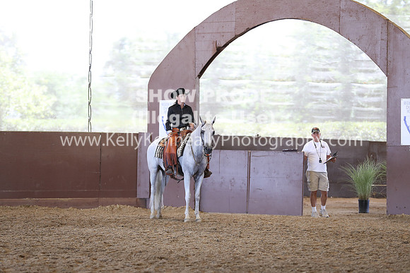 R317_RanchHorse_4435