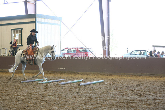 R317_RanchHorse_4440