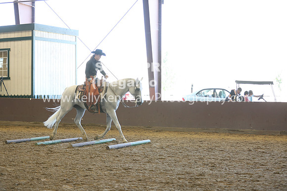 R317_RanchHorse_4441