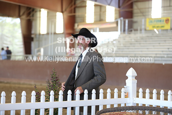 R317_RanchHorse_4444
