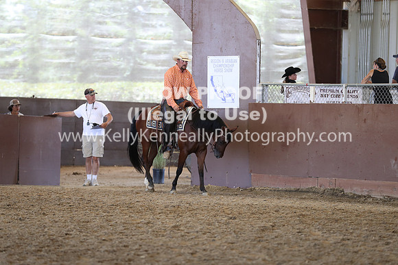 R317_RanchHorse_4445