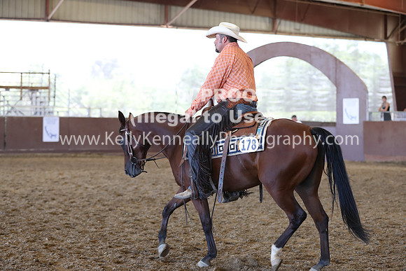 R317_RanchHorse_4447