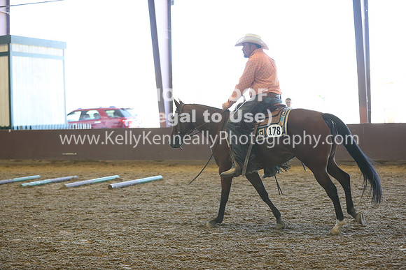 R317_RanchHorse_4448
