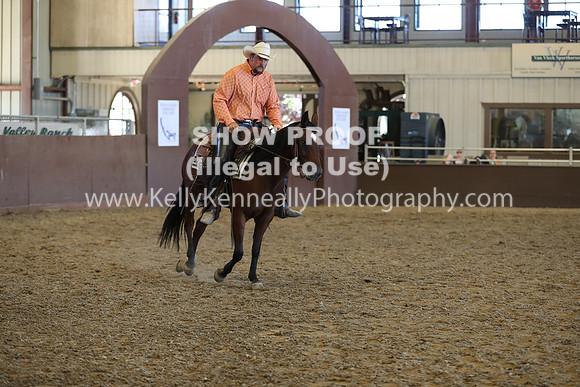 R317_RanchHorse_4449