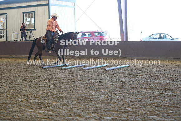 R317_RanchHorse_4450