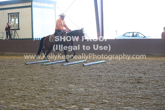 R317_RanchHorse_4451