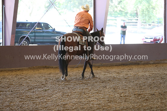 R317_RanchHorse_4453