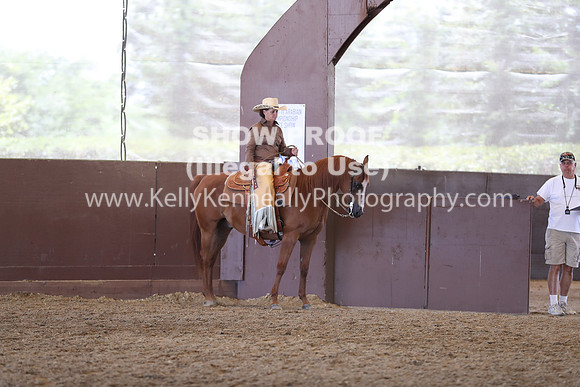 R317_RanchHorse_4454