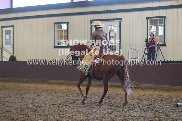 R317_RanchHorse_4456