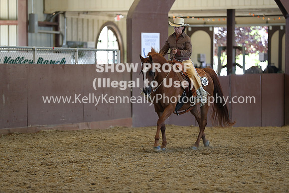 R317_RanchHorse_4457