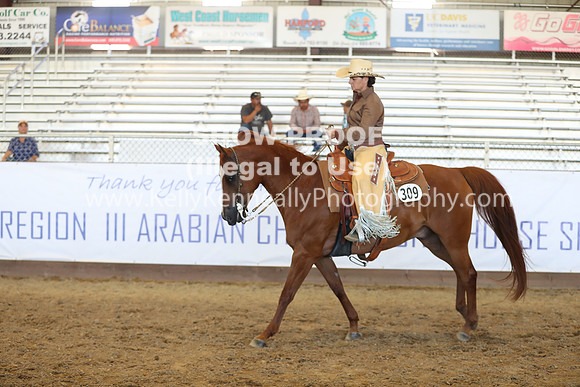R317_RanchHorse_4458