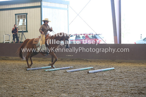 R317_RanchHorse_4460