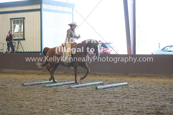 R317_RanchHorse_4461