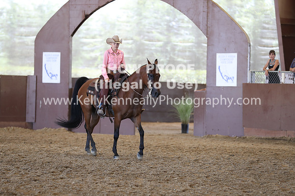 R317_RanchHorse_4466