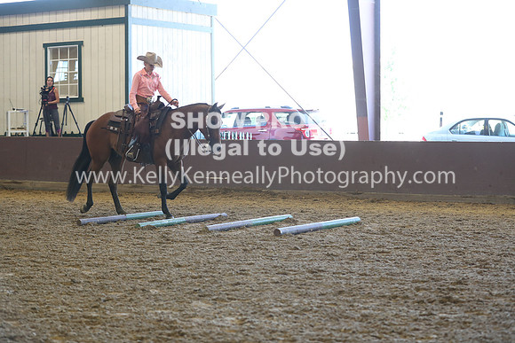 R317_RanchHorse_4470