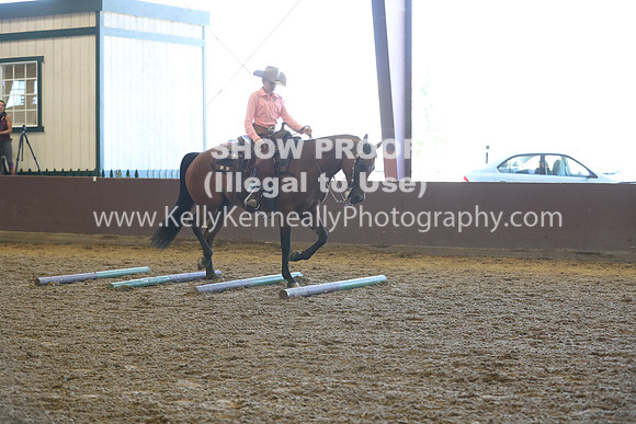 R317_RanchHorse_4471