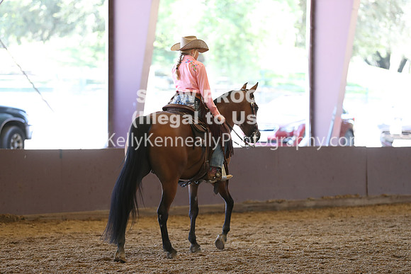 R317_RanchHorse_4473