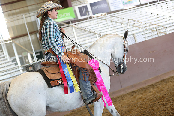 R317_RanchHorse_4480