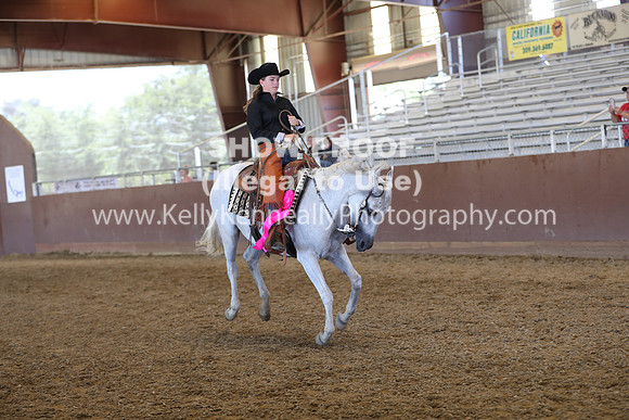 R317_RanchHorse_4482