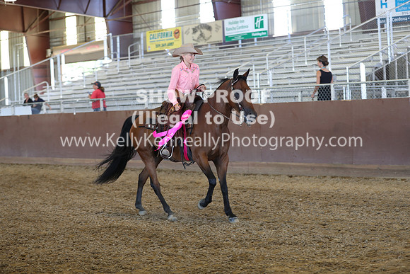 R317_RanchHorse_4486