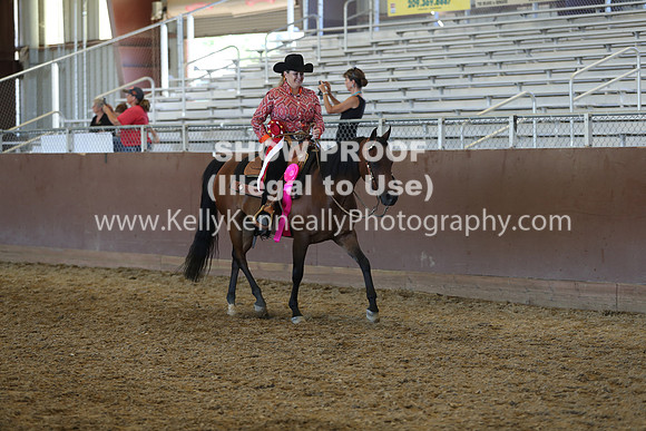 R317_RanchHorse_4498