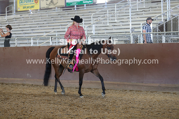R317_RanchHorse_4499