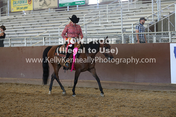 R317_RanchHorse_4500