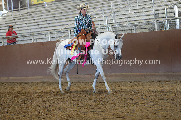 R317_RanchHorse_4509