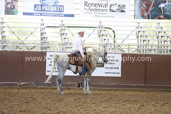 R317_RanchHorse_4513