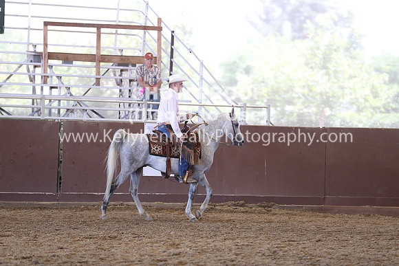 R317_RanchHorse_4514
