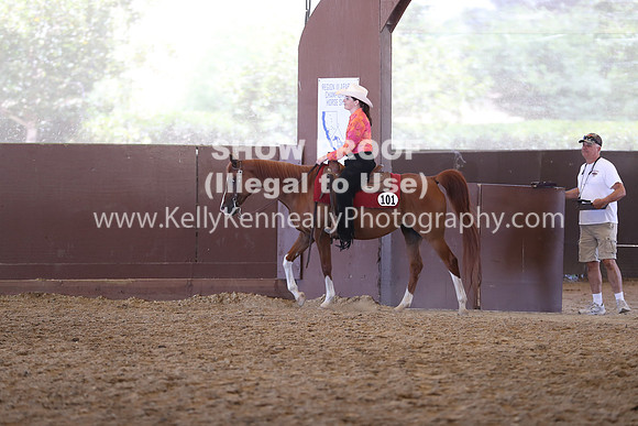 R317_RanchHorse_4519