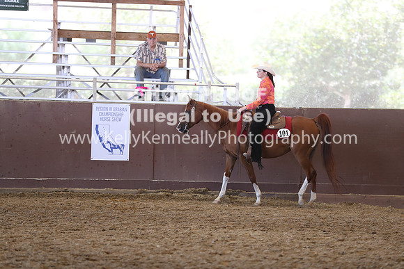 R317_RanchHorse_4520